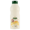 Oliehoorn mayonnaise, typical Dutch